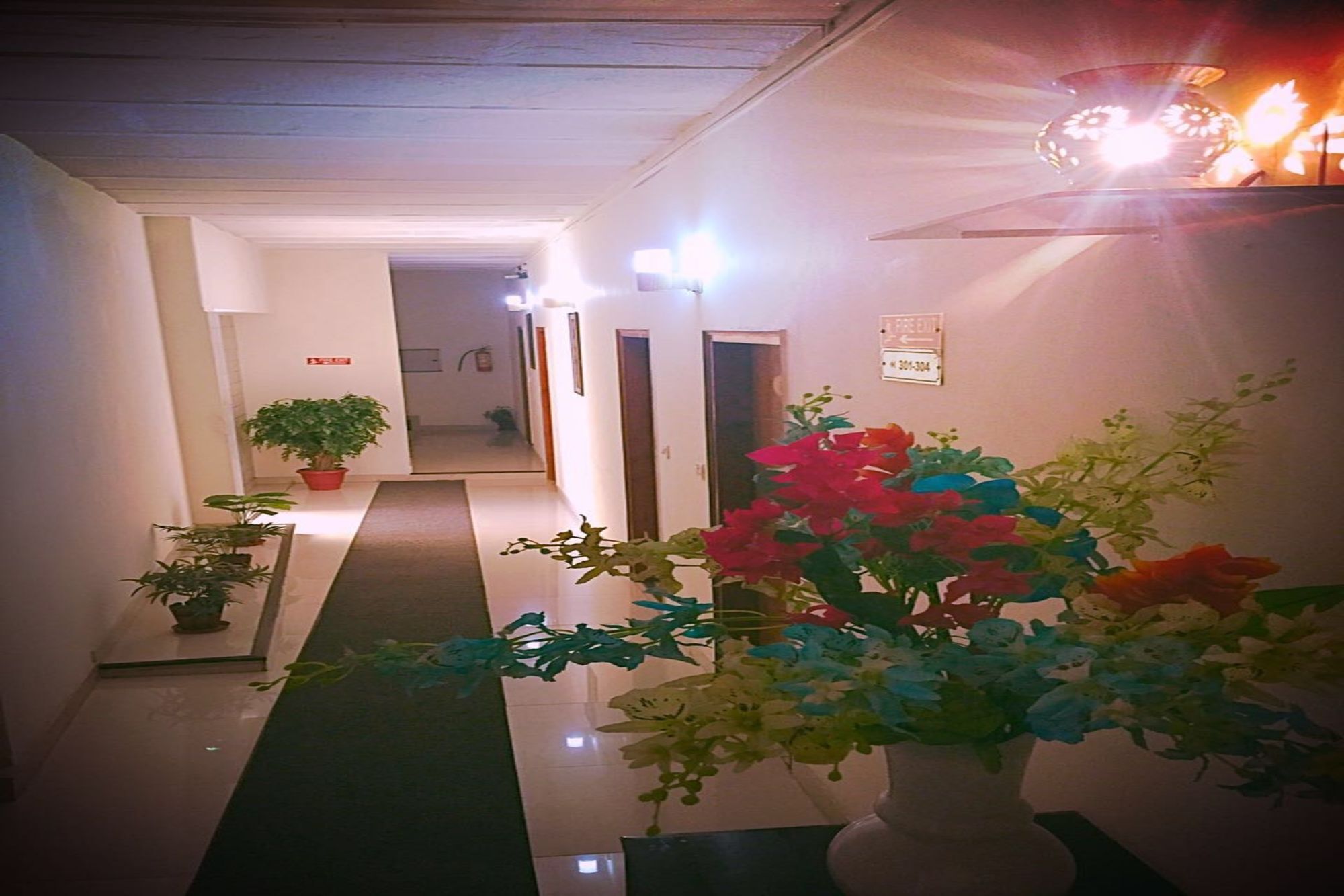 Airport Hotel Нью-Делі Екстер'єр фото