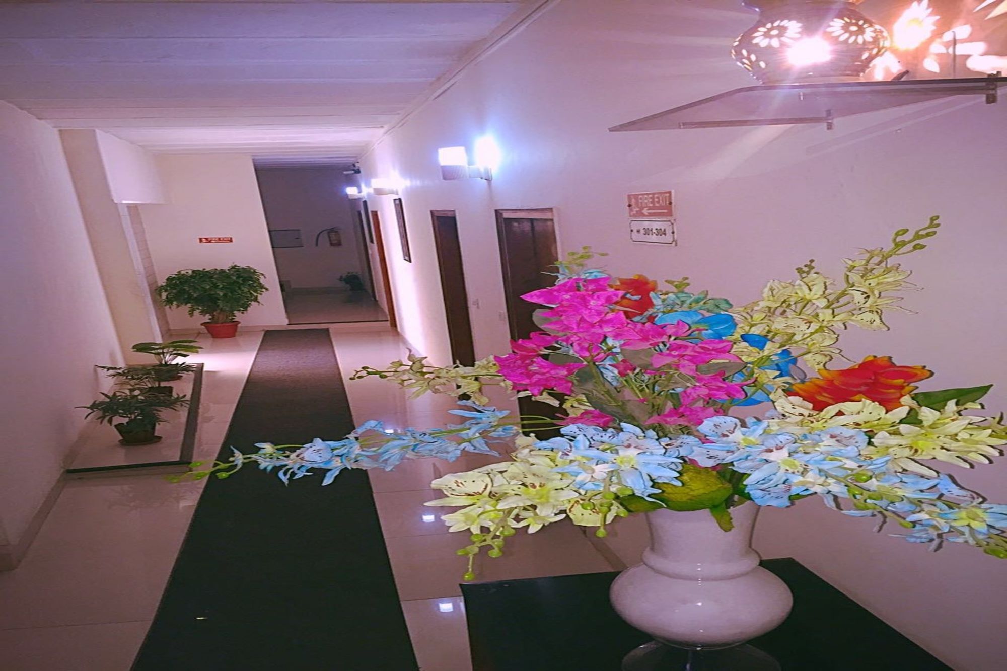 Airport Hotel Нью-Делі Екстер'єр фото